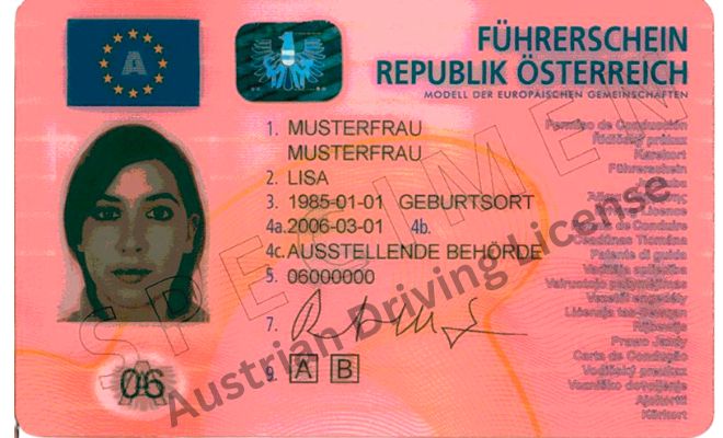 Austrian Driving License