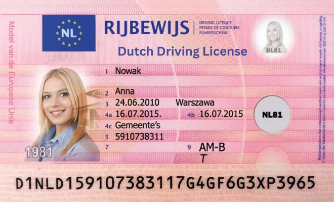 Buy Dutch Driving License